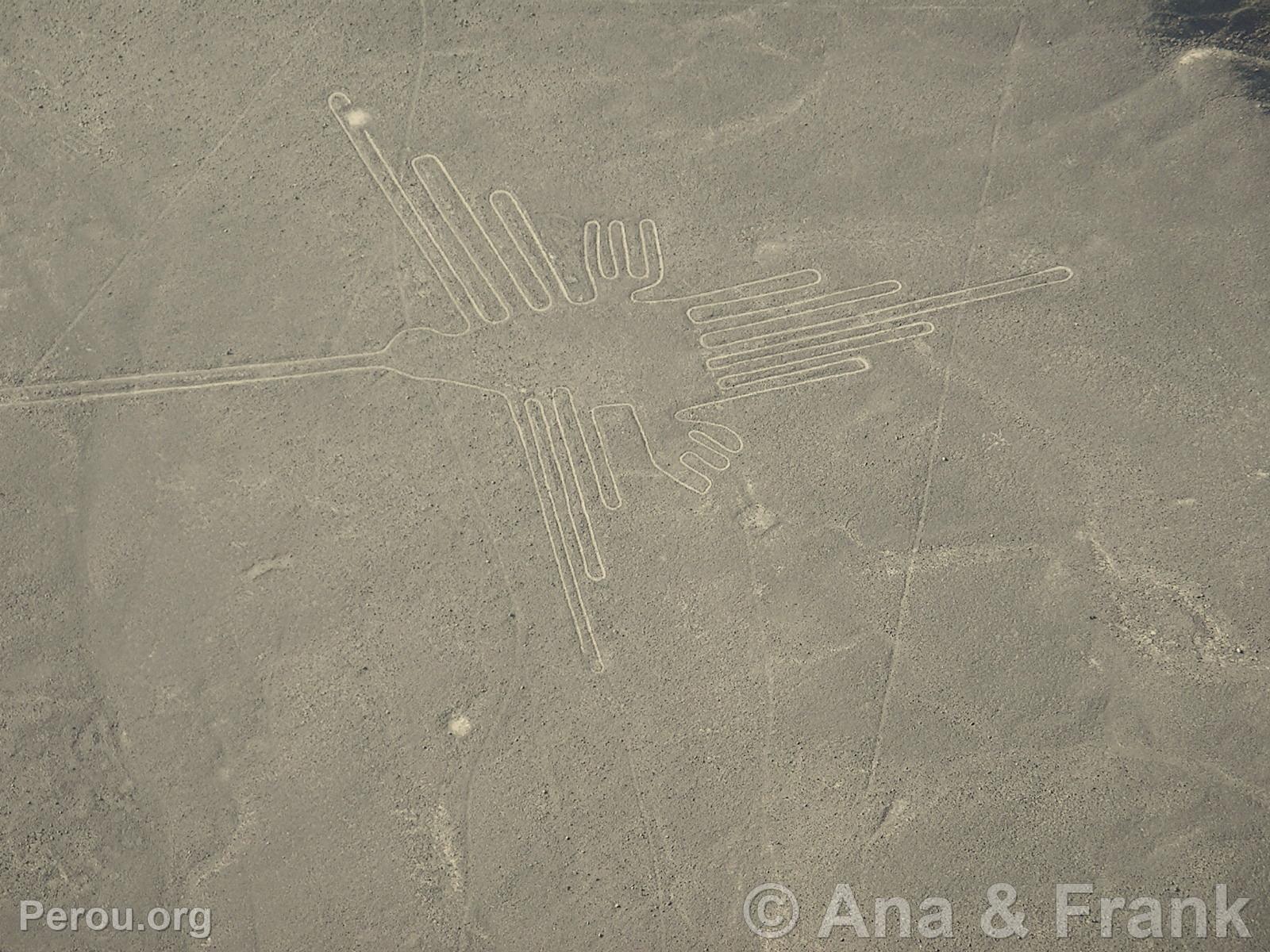 Nazca