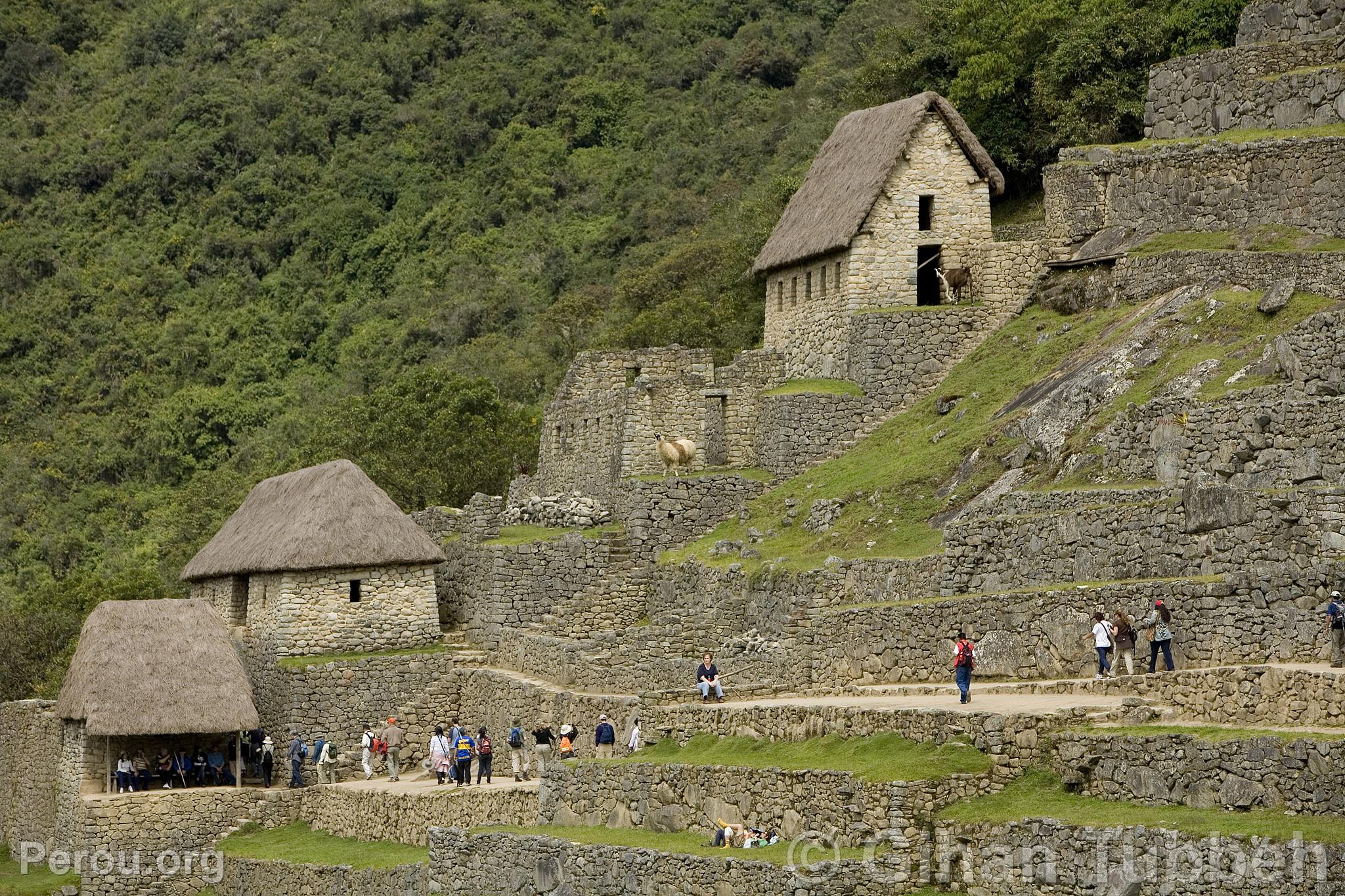 Citadelle de Machu Picchu