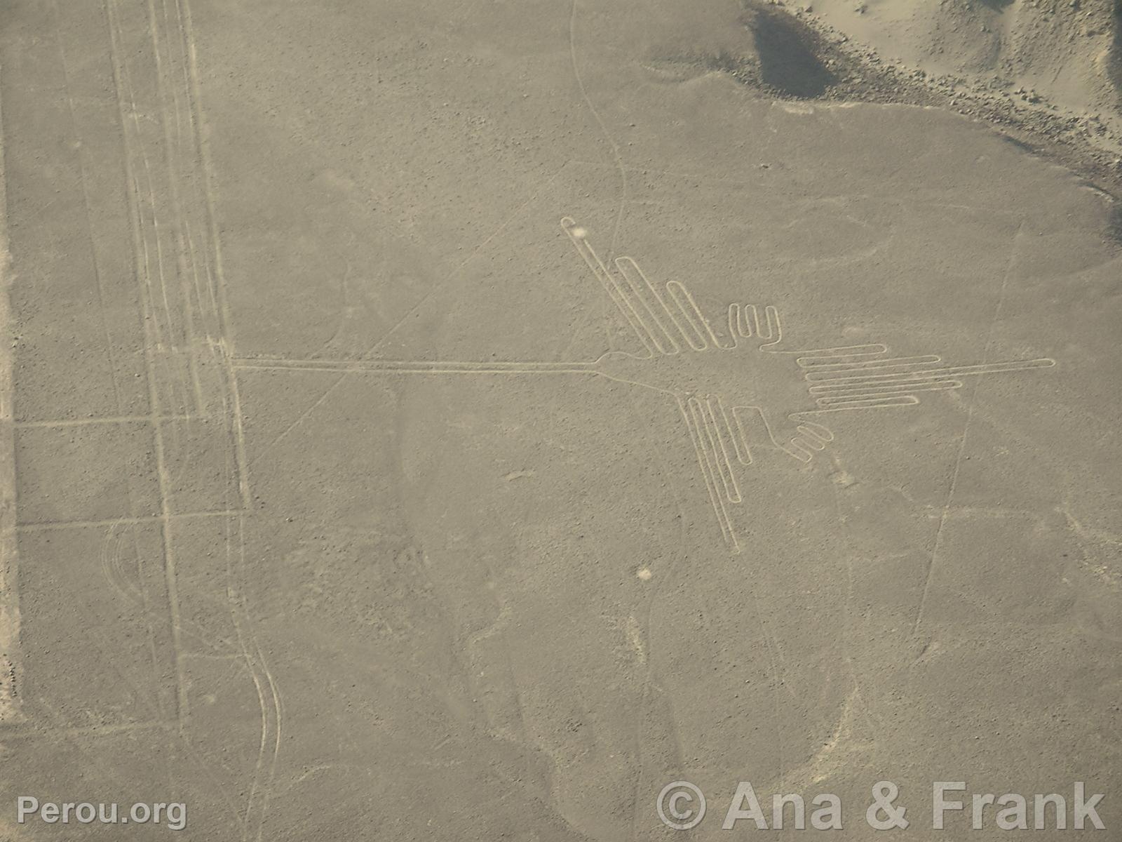 Nazca