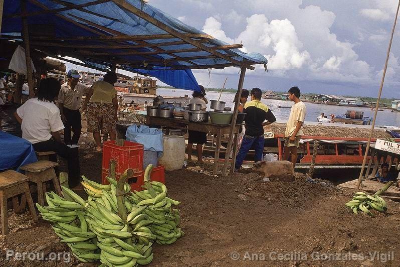 Bananes. Ucayali