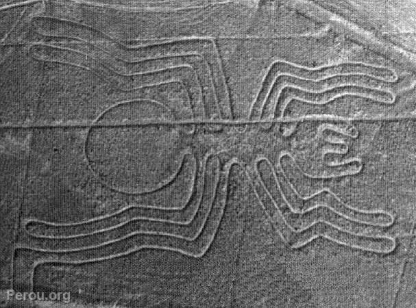 L'Araigne, Nazca