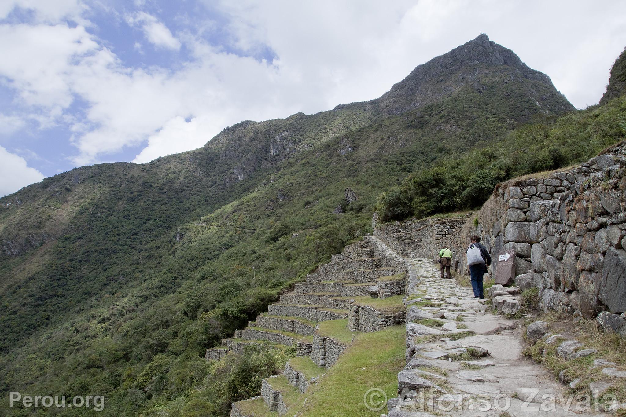 Citadelle de Machu Picchu