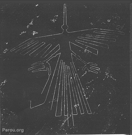 L'Oiseau, Nazca