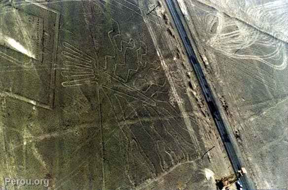 L'Arbre, Nazca