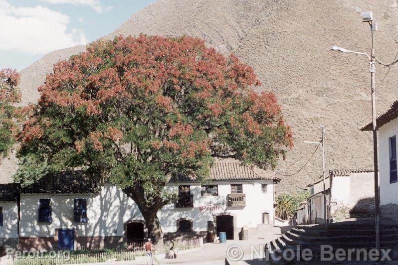 Andahuaylas