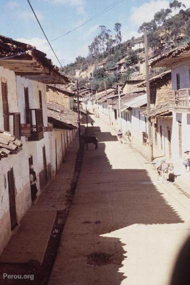 Andes piurans, Ayabaca