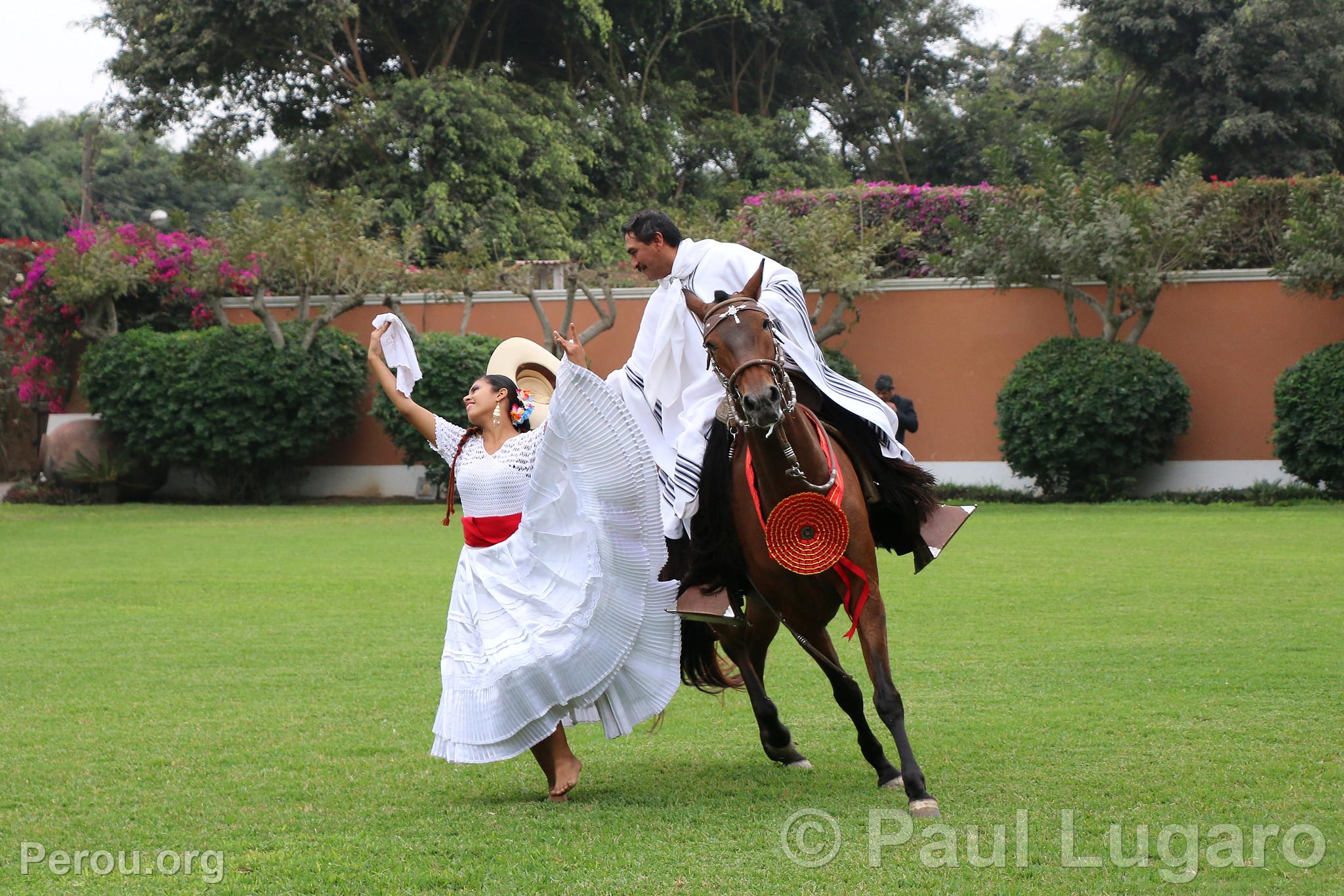 La Marinera et le cheval de pas