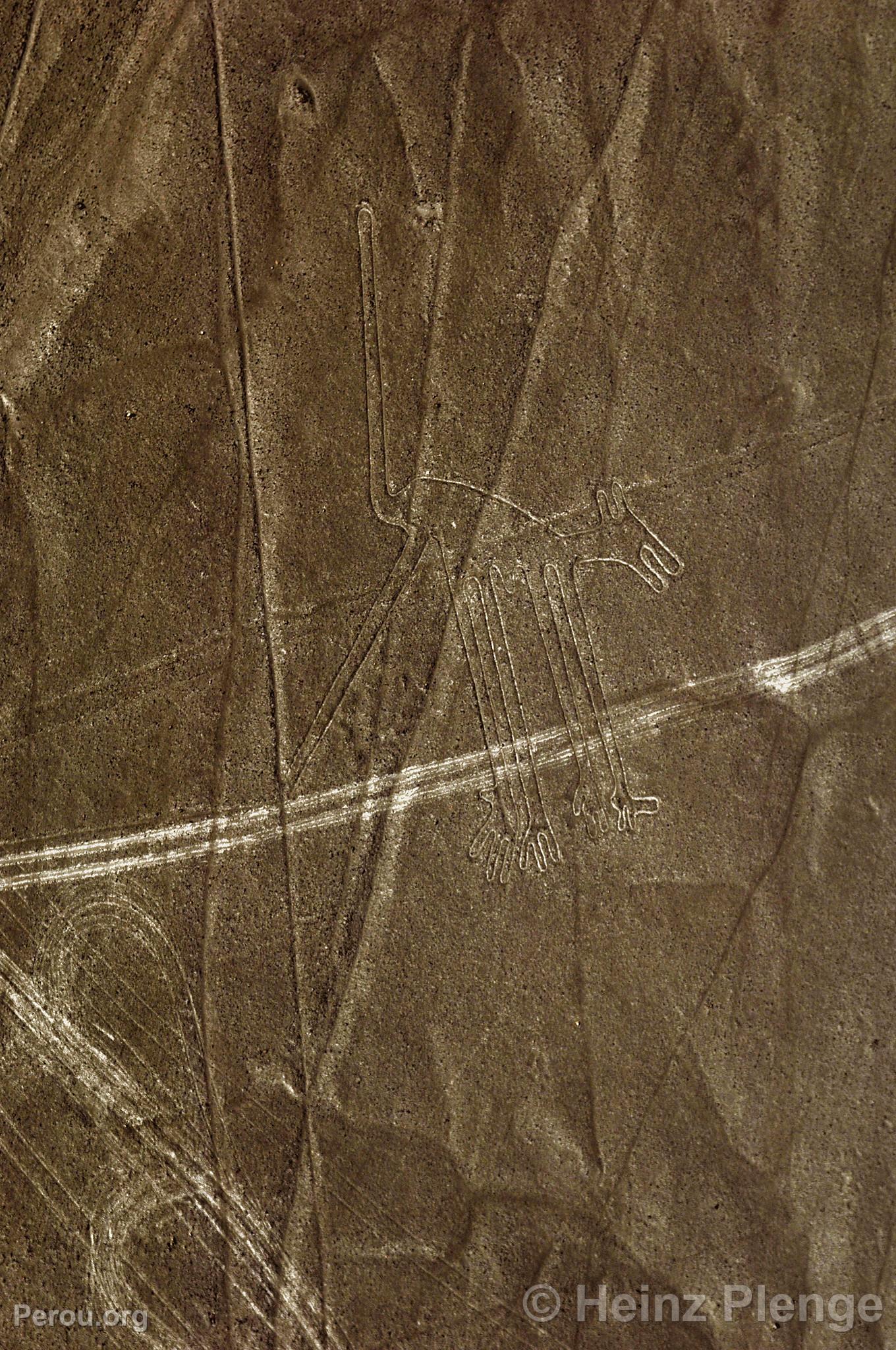 Lignes de Nazca