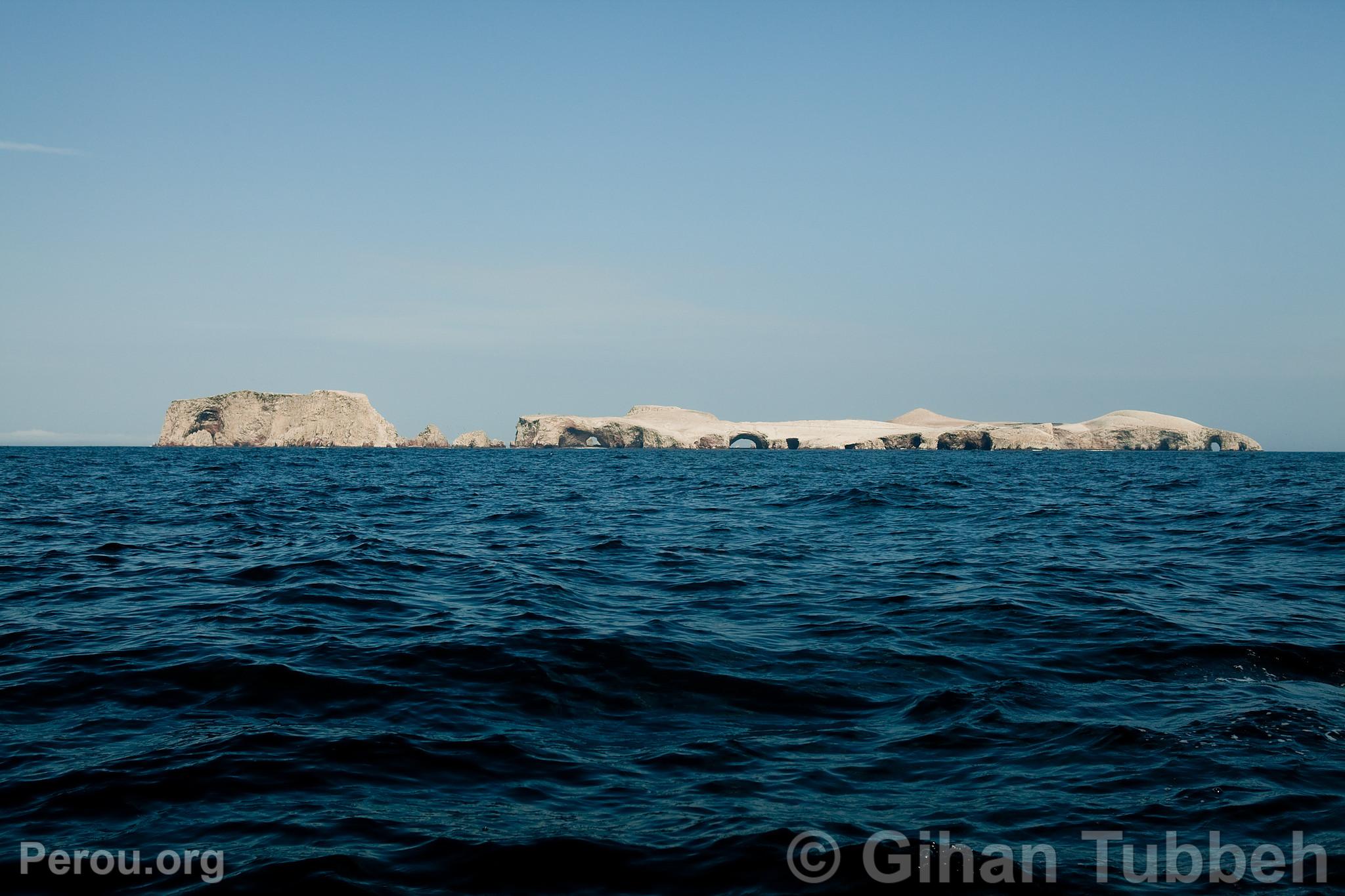 Iles Ballestas, Paracas