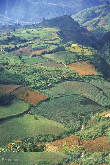 Vue de la Valle