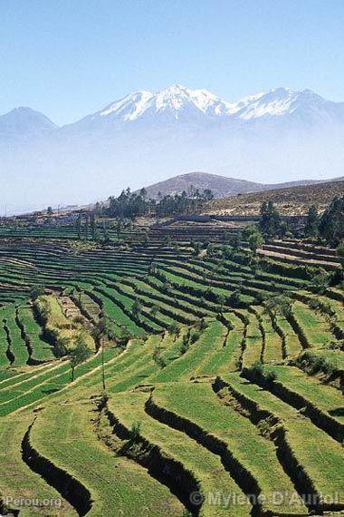 Yura, en arrire-plan le Chachani