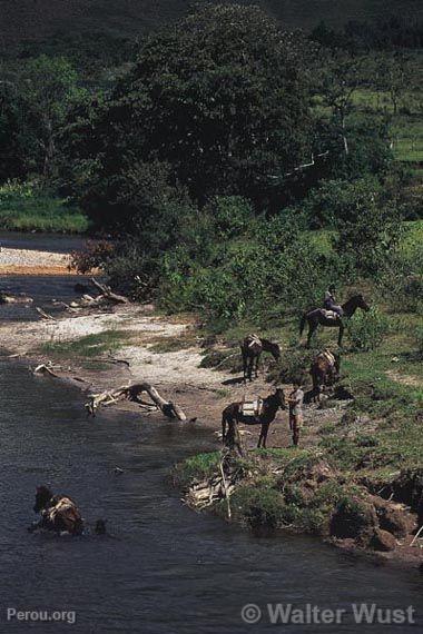 Fleuve Chotabamba