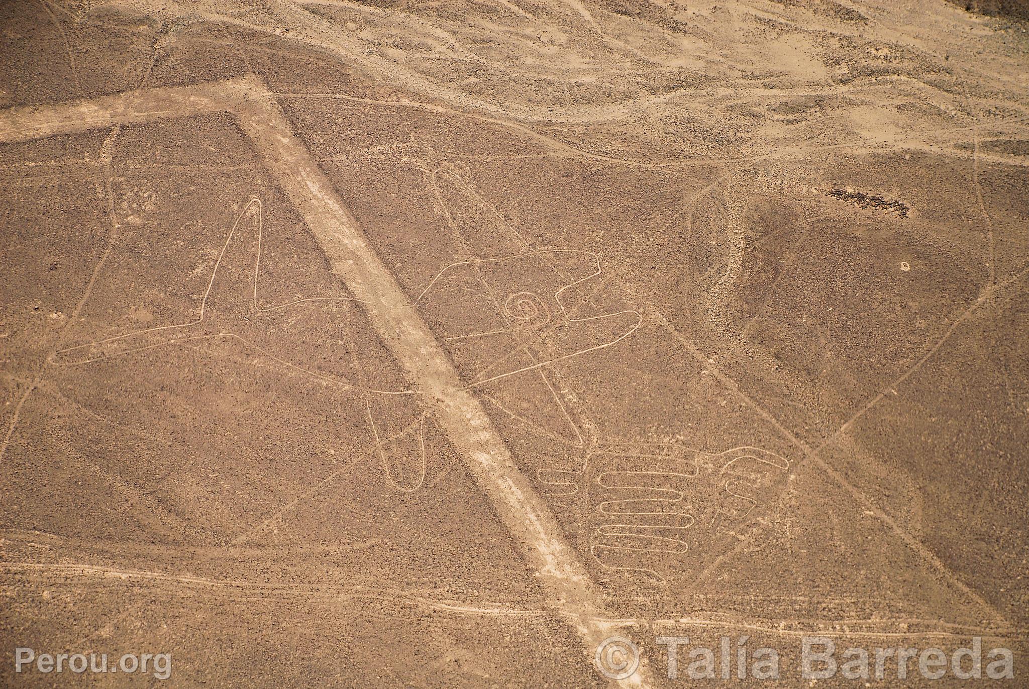 Lignes de Nazca