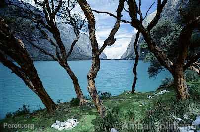 Lagune de Llanganuco