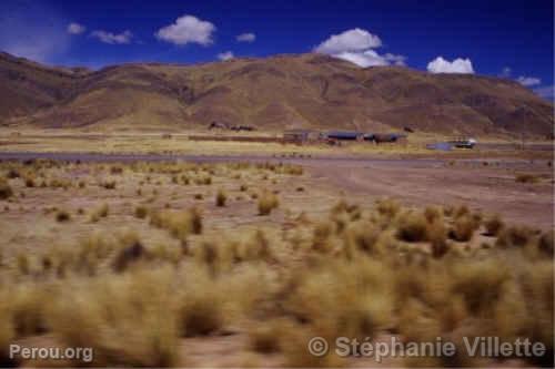 Train entre Puno et Cuzco