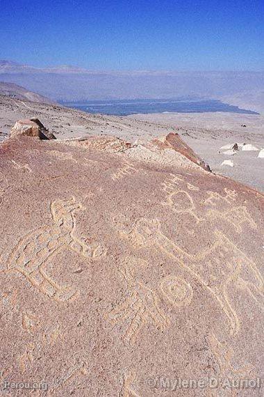 Ptroglyphes de Toro Muerto, Colca