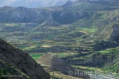 Canyon de Colca