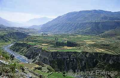 Canyon de Colca