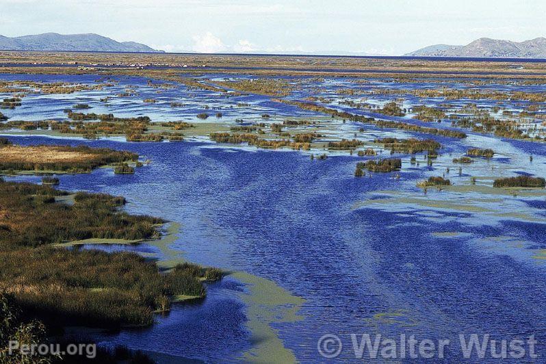 Lac Titicaca