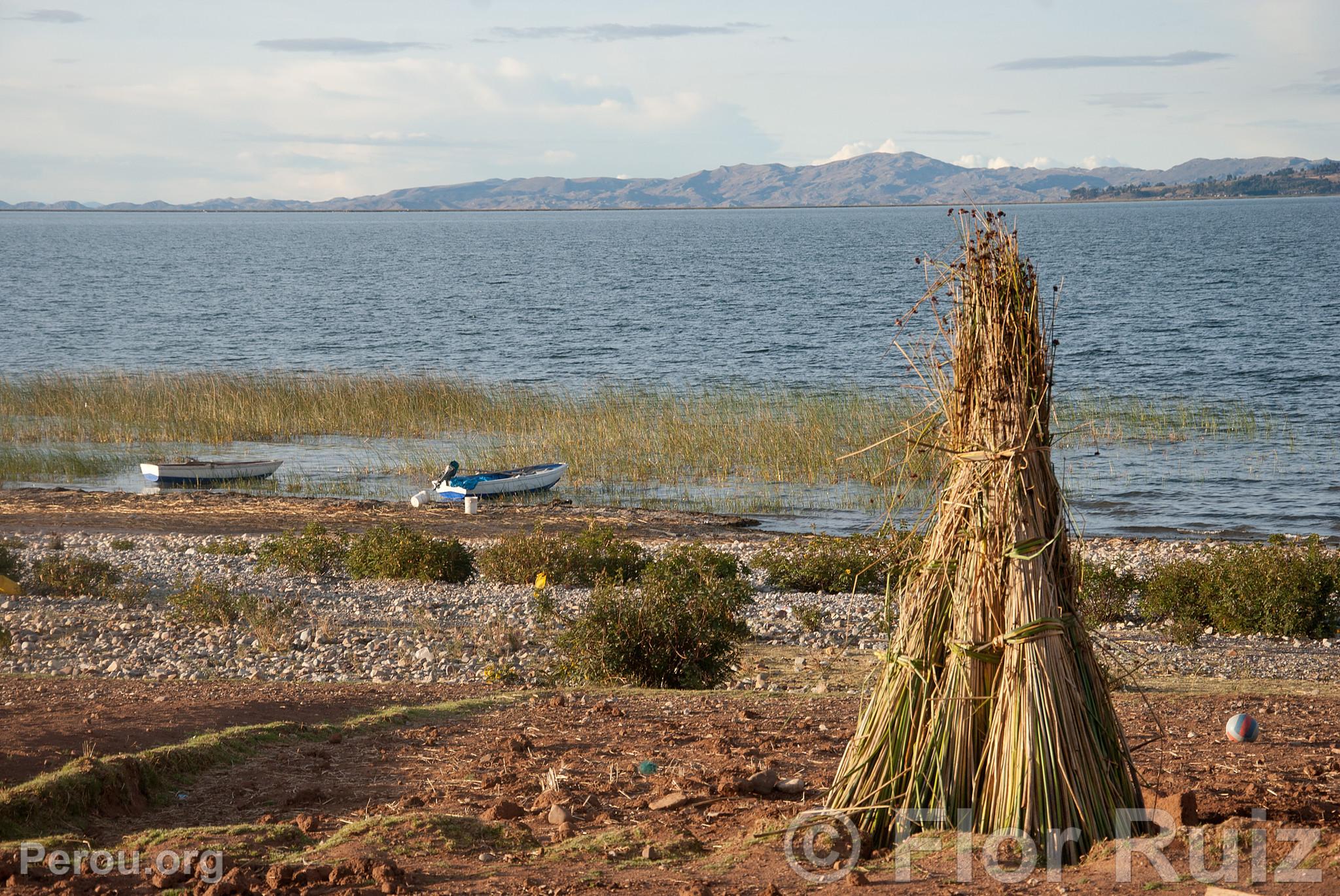 Communaut de Luquina Chico et du lac Titicaca