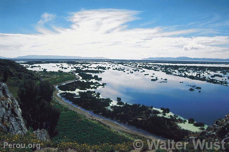 Rserve Nationale de Titicaca