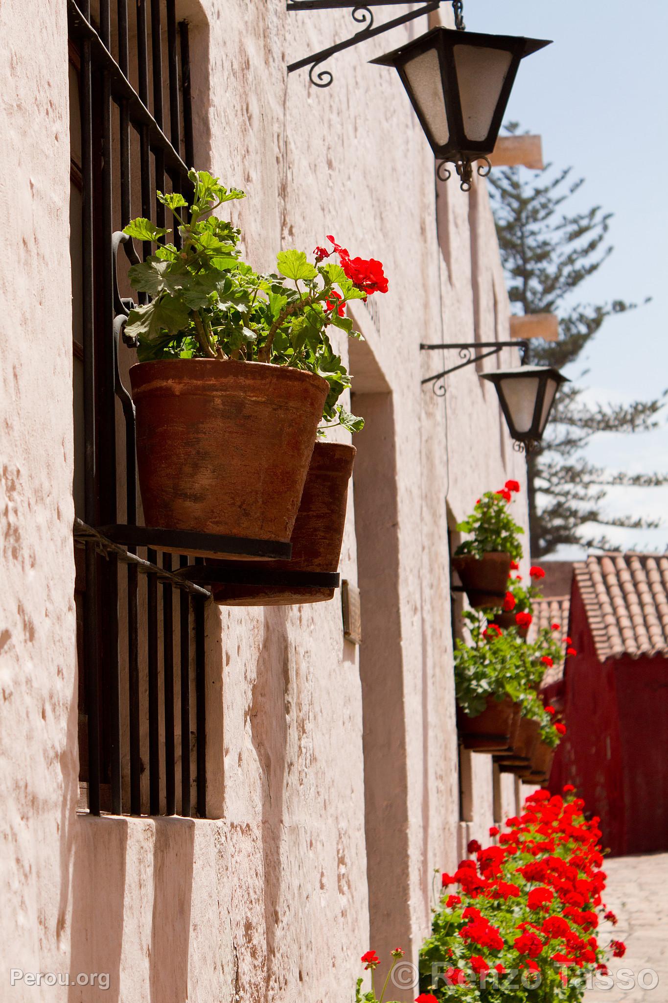 Couvent de Santa Catalina, Arequipa