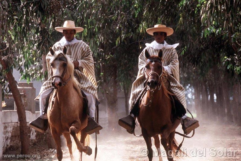 Chevaux de pas, Trujillo