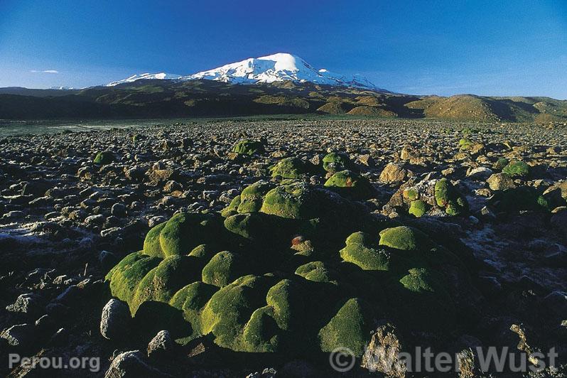 Valle des Volcans, Arequipa