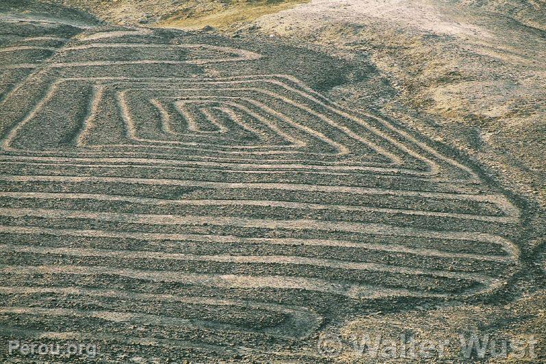 Goglyphes, Nazca