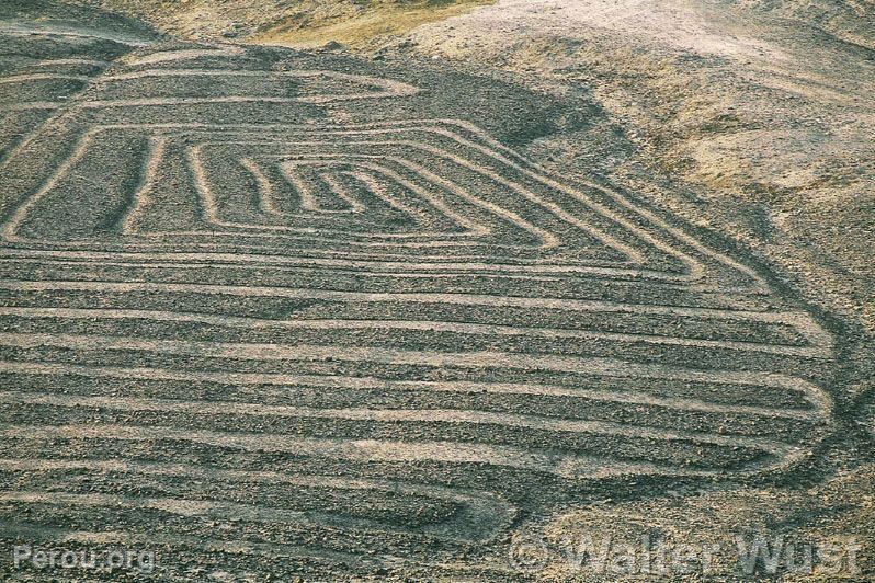 Nazca