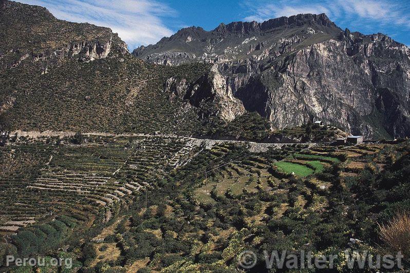 Valle de Cotahuasi