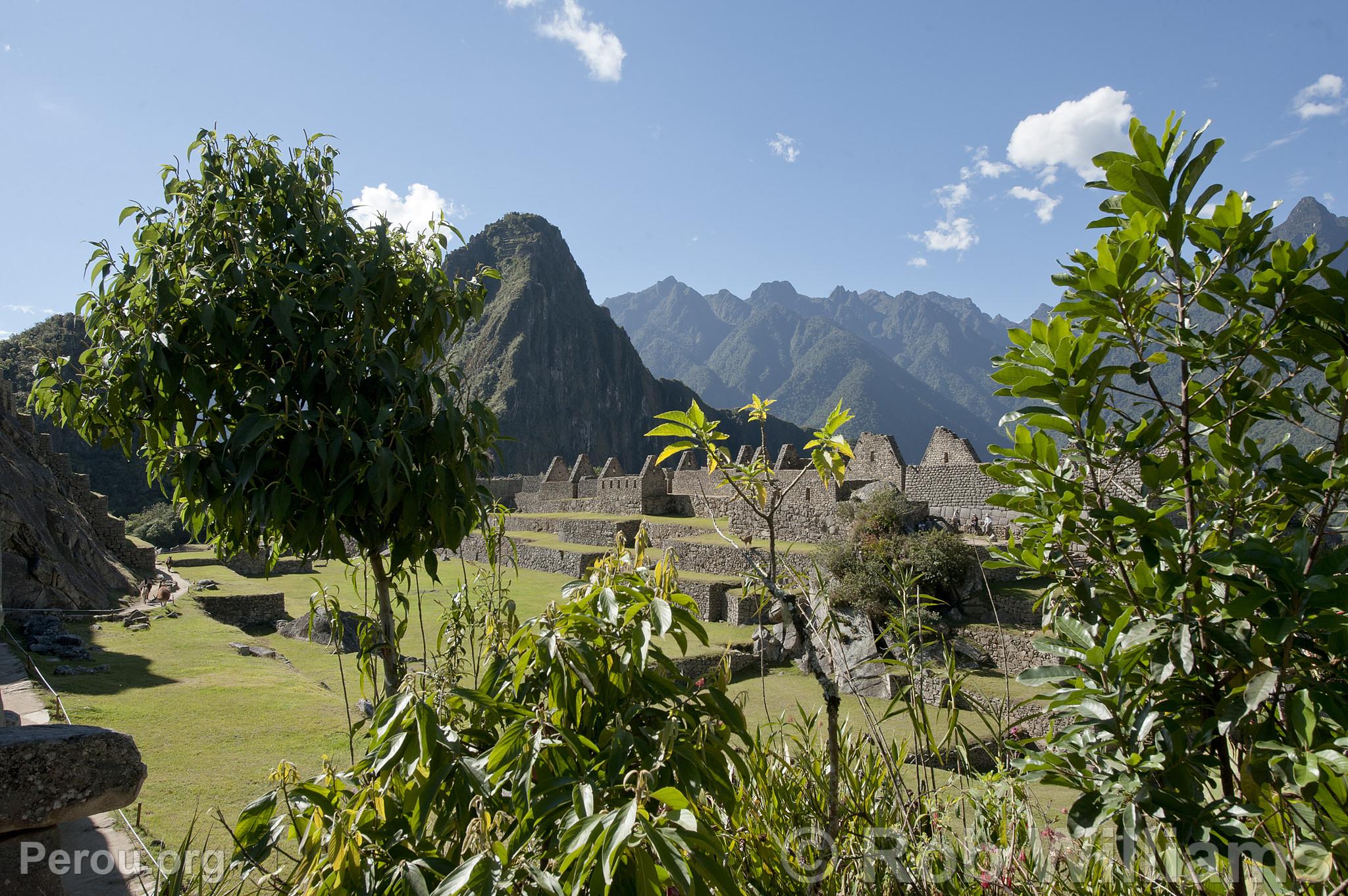 Citadelle de Machu Picchu