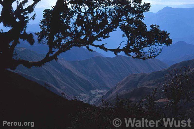 Parc National de Cutervo