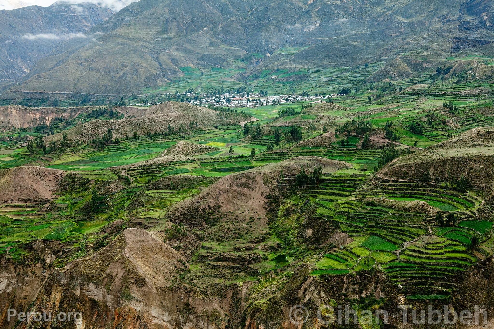 Canyon de Colca