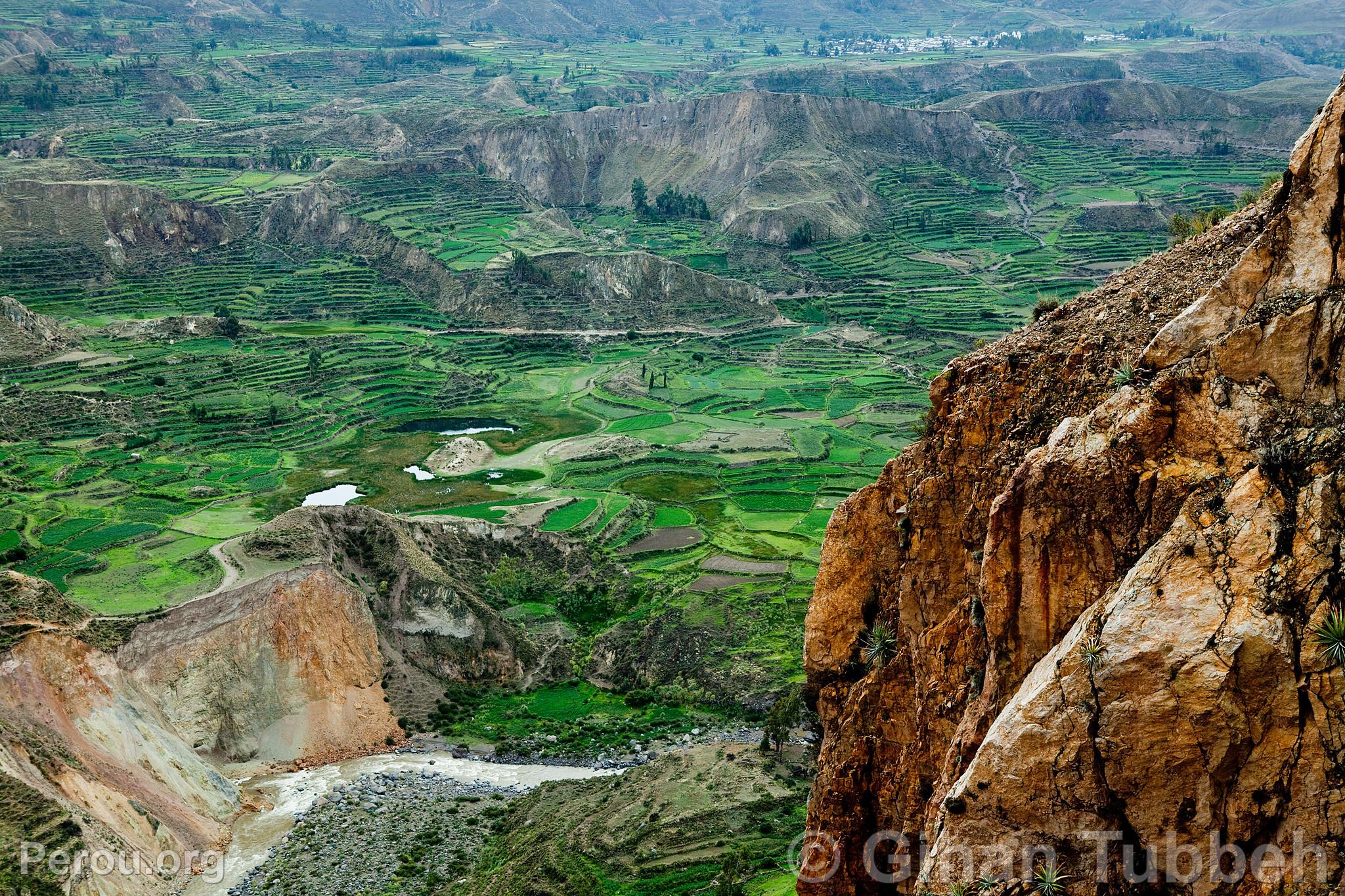 Canyon de Colca