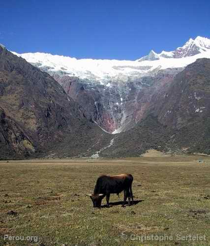 Cordillre Blanche