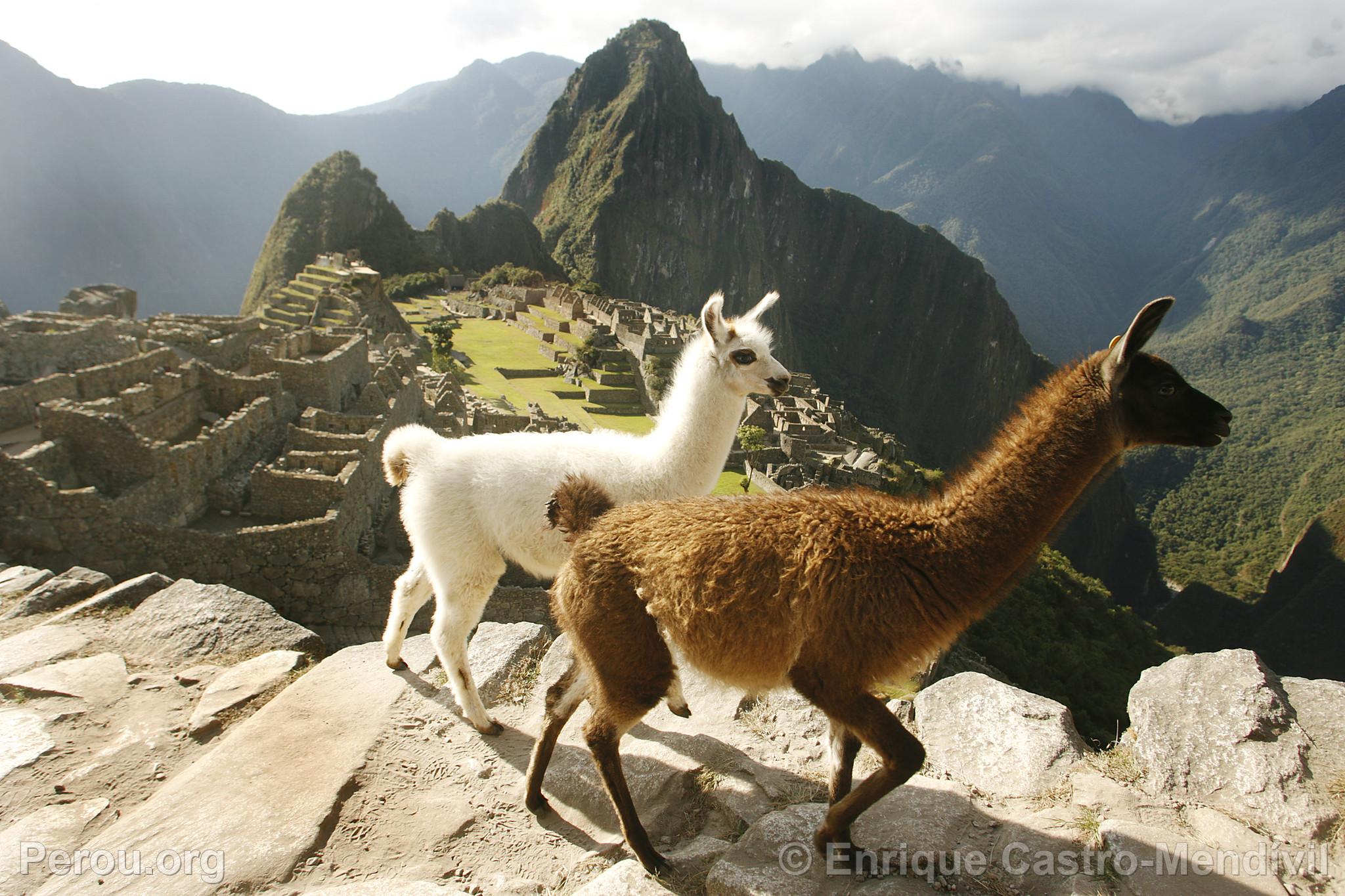 Machu Picchu