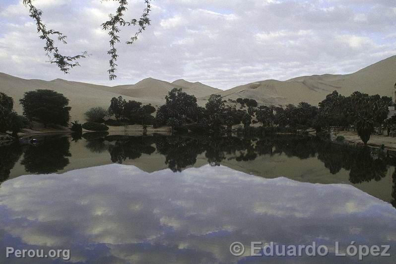 Lagune de Huacachina