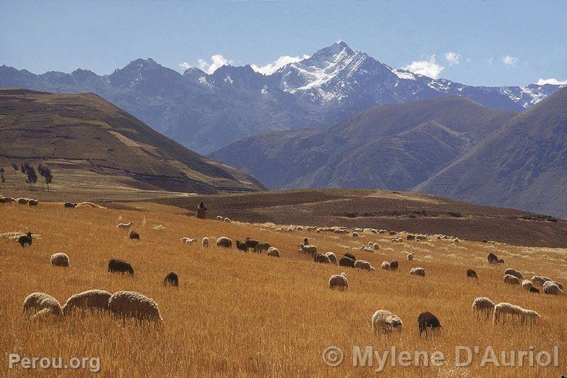 Route vers Moray. Urubamba