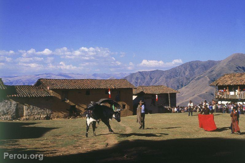 Fte Yawar (Apurimac)