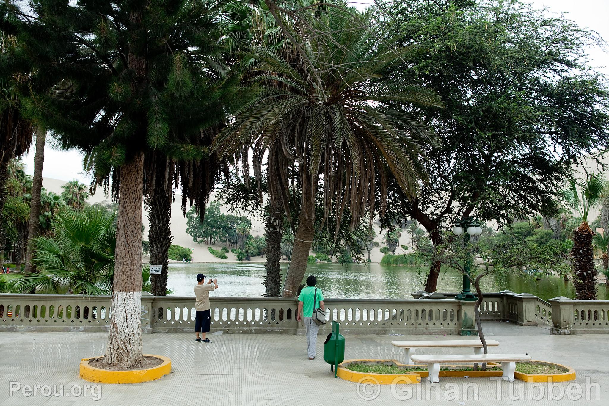 Lagune de Huacachina