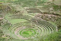 Cultures en terrasses  Moray