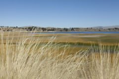 Lac Titicaca