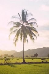 Village de Pueblo Nuevo-Bagua, Amazonas