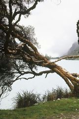 Paysage de l'Ancash