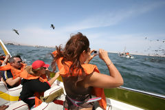 Réserve Nationale de Paracas