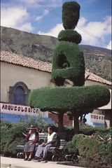 Vischongo. Vilcashuamán, Ayacucho, Vinchos