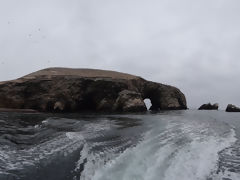 Iles Ballestas, Paracas