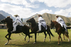 Chevaux de pas