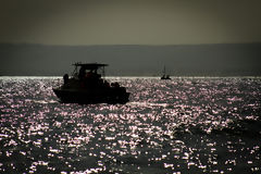 Observation des baleines